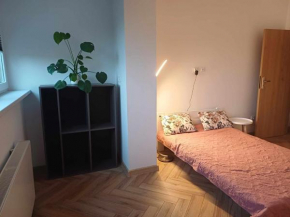 Apartament dwa pokoje, Nowe Kiełbonki